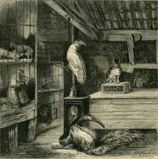 A Wild-Beast Shop c1873. Creator: Unknown