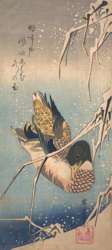 A Wild Duck near a Snow-laden Shore, ca. 1843., ca. 1843. Creator: Ando Hiroshige