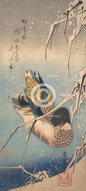 A Wild Duck near a Snow-laden Shore, ca. 1843., ca. 1843. Creator: Ando Hiroshige.