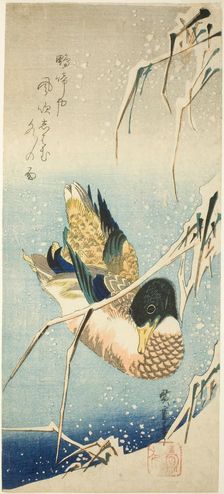 A Wild Duck Swimming by a Snow-covered Bank beneath Snow-laden Reeds, 1830s. Creator: Ando Hiroshige