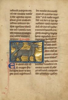A Wild Donkey; De Natura Avium; De Pastoribus et Ovibus; Bestiarium, 1277 or after. Creator: Unknown
