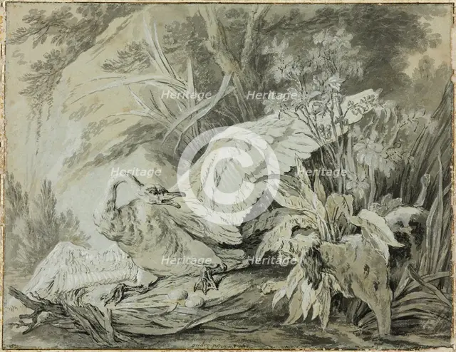 A Wild Swan Attacked by a Dog, c. 1740. Creator: Jean-Baptiste Oudry.
