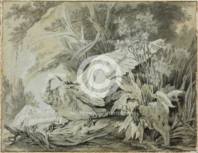 A Wild Swan Attacked by a Dog, c. 1740. Creator: Jean-Baptiste Oudry.