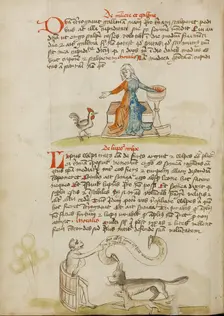 A Woman with a Vessel and a Hen: A Monkey Instructing a Fox..., third quarter of 15th century. Creator: Unknown