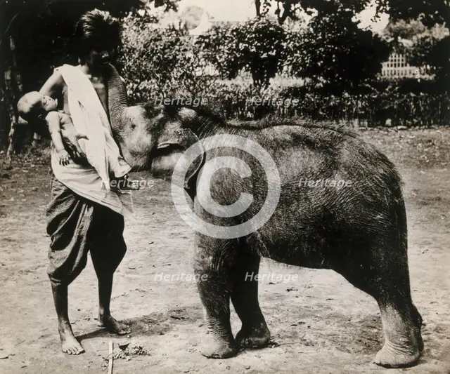 A woman and a child; the woman is suckling a baby white elephant, c1870s. Creator: Unknown.