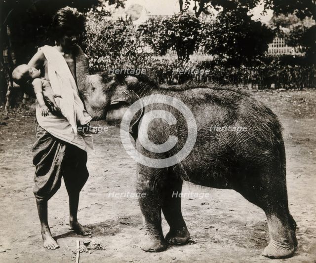 A woman and a child; the woman is suckling a baby white elephant, c1870s. Creator: Unknown.