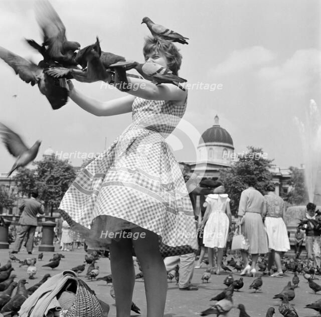 A woman in a gingham dress feeding the pigeons in Trafalgar Square, London c1946-c1959. Artist: John Gay