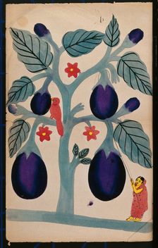 A woman pulling giant aubergines from a tree. Creator: Unknown