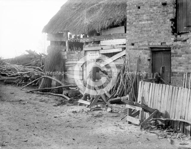 A woman sawing logs outside an outbuilding used as a wood store, Godstow, Oxford, Oxfordshire, 1900. Creator: Henry Taunt.