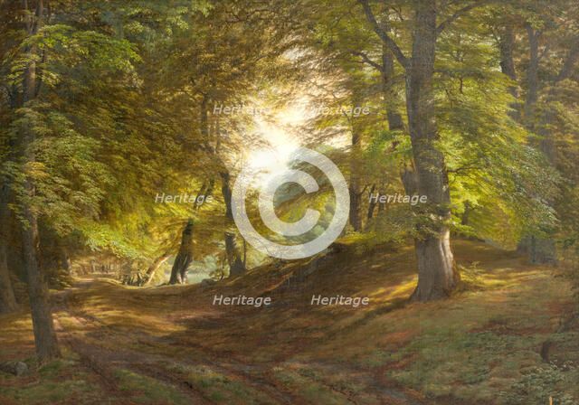 A Wood near Frederiksborg Castle, 1831-1851. Creator: Godtfred Rump.