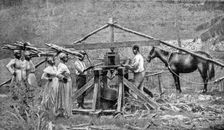 A wooden, horse-powered suger cane crushing mill, West Indies, 1922