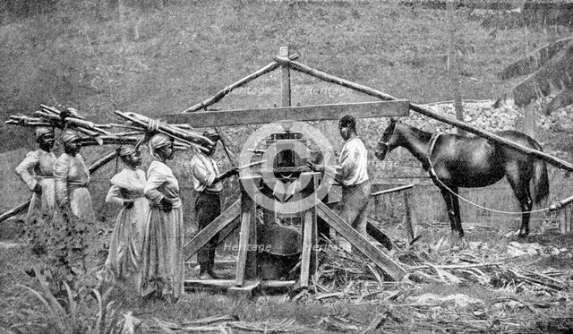 A wooden, horse-powered suger cane crushing mill, West Indies, 1922. Artist: Unknown