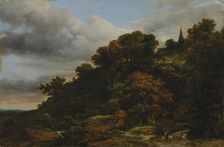A wooded hill, 1648-1682. Creator: Jacob van Ruisdael