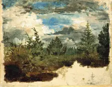 A Wooded Hillside. Study. Creator: Kilian Christoffer Zoll