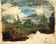 A Wooded Hillside. Study. Creator: Kilian Christoffer Zoll