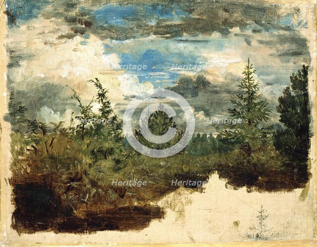 A Wooded Hillside. Study. Creator: Kilian Christoffer Zoll.