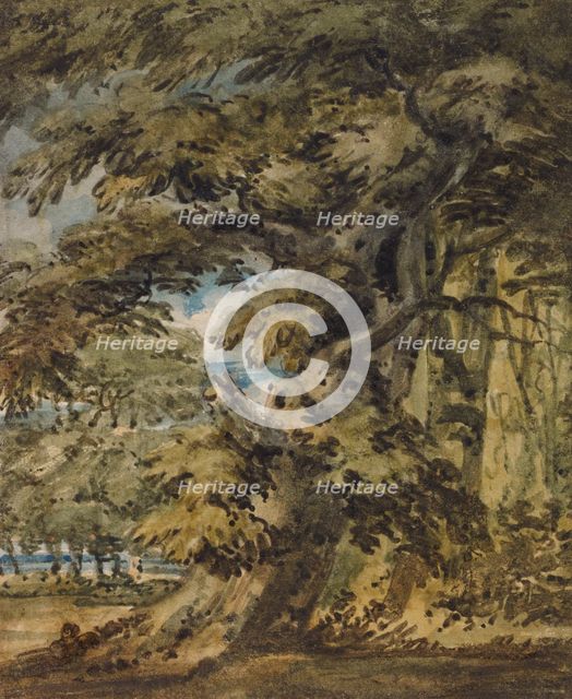 A Wooded Landscape, c1752. Creator: Thomas Girtin.