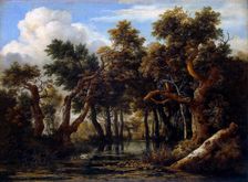 A Wooded Marsh, 1665. Creator: Jacob van Ruisdael