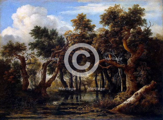 A Wooded Marsh, 1665. Creator: Jacob van Ruisdael.