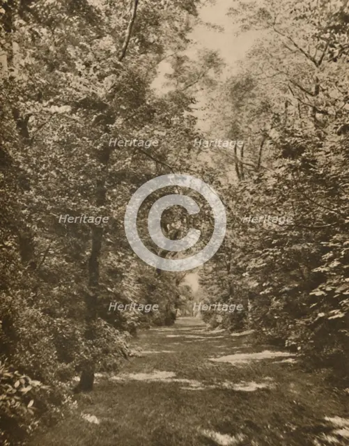 'A Woodland Glade Within A Few Hundred Yards of the Earl's Court Road', c1935. Creator: King.