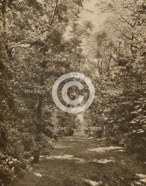 'A Woodland Glade Within A Few Hundred Yards of the Earl's Court Road', c1935. Creator: King.