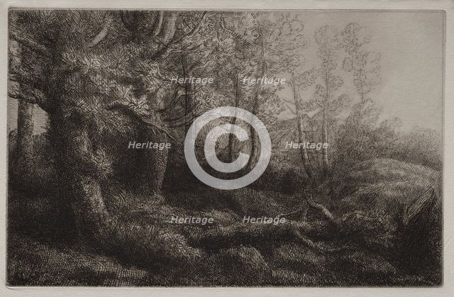 A Woodland Study. Creator: Alphonse Legros (French, 1837-1911).