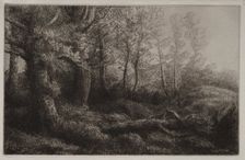 A Woodland Study. Creator: Alphonse Legros (French, 1837-1911)
