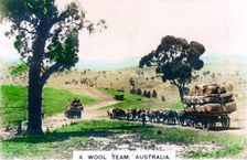 A wool team, Australia, c1920s.Artist: Cavenders Ltd