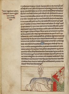 A Wolf; Northumberland Bestiary, about 1250-1260. Creator: Unknown
