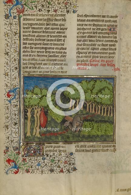 A Wolf Attracted with Bait to a Covered Pit; Livre de la Chasse, about 1430-1440. Creator: Unknown.