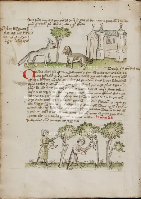 A Wolf and a Dog under a Tree: Two Men Chopping Trees; Fables, third quarter of 15th century. Creator: Unknown.