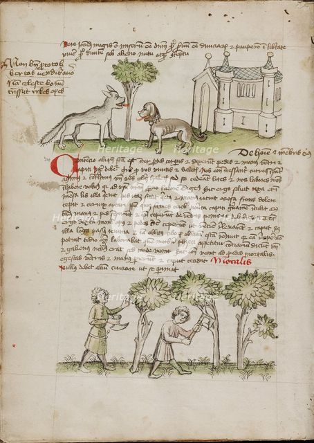 A Wolf and a Dog under a Tree: Two Men Chopping Trees; Fables, third quarter of 15th century. Creator: Unknown.