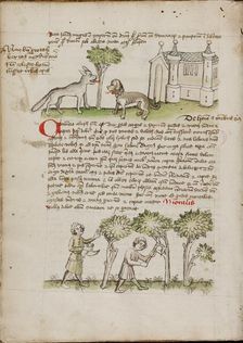 A Wolf and a Dog under a Tree: Two Men Chopping Trees; Fables, third quarter of 15th century. Creator: Unknown