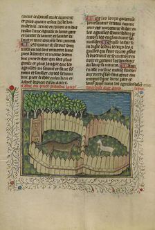 A Wolf Caught in a Fenced Trap Baited with a Lamb; Livre de la Chasse, about 1430-1440. Creator: Unknown