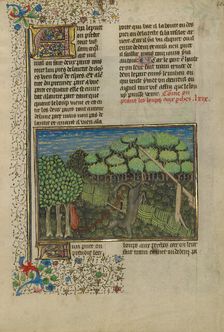 A Wolf Caught in a Foot Trap; Livre de la Chasse, about 1430-1440. Creator: Unknown