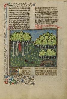 A Wolf Eating Bait Filled with Needles; Livre de la Chasse, about 1430-1440. Creator: Unknown