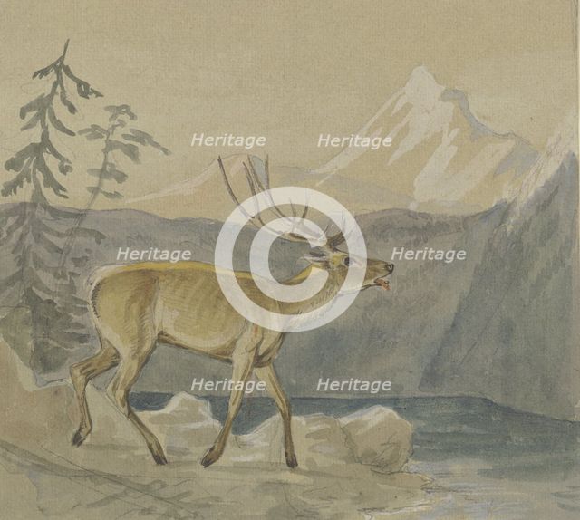 A wounded stag seeks refreshment at a mountain lake, mid-late 19th century. Creator: Johann Erdmann Gottlieb Prestel.