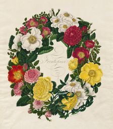 A Wreath of Roses, 1799. Creator: Mary Lawrence (British)