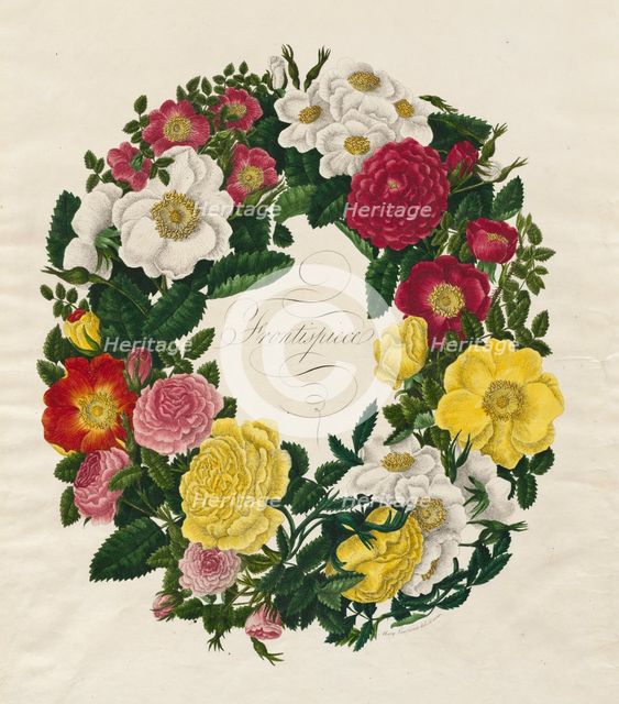 A Wreath of Roses, 1799. Creator: Mary Lawrence (British).