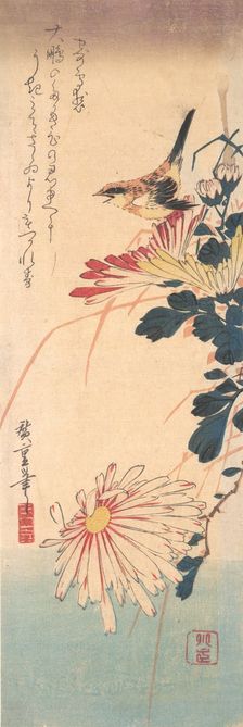 A Wren and Chrysanthemums, ca. 1830., ca. 1830. Creator: Ando Hiroshige