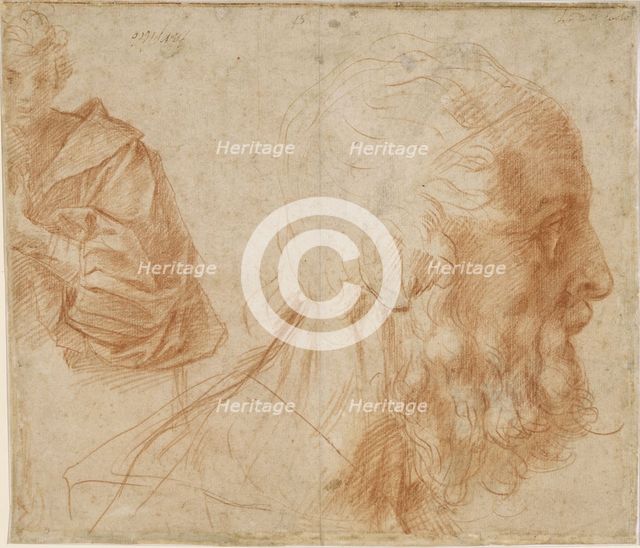 A youth and the head of an old man (Homer?). Study, ca 1521. Artist: Andrea del Sarto (1486-1531)