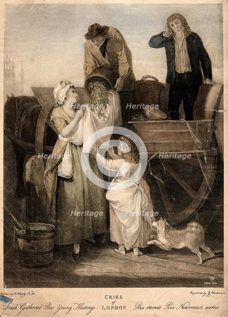 A young woman is holding up her apron to catch the peas which are being poured..., c1790s Creator: Francis Wheatley.