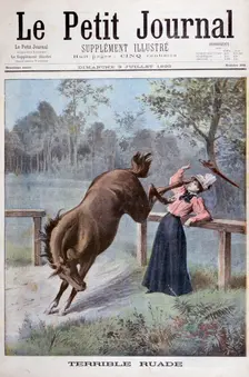 A young woman is kicked by a horse, 1898. Artist: Henri Meyer