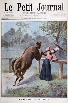 A young woman is kicked by a horse, 1898. Artist: Henri Meyer