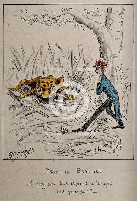 A young man chances on a gigantic yellow frog, c1860s. Creator: Edwin Harcourt Burrage.