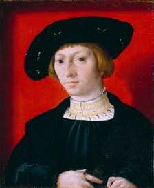A Young Man, c1520-1540. Creator: Bernaert van Orley