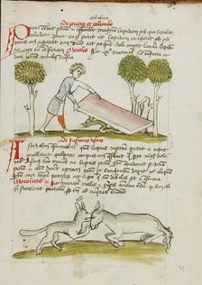 A Young Man in a Bed under which is a Snake: A Donkey..., third quarter of 15th century. Creator: Unknown