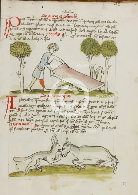 A Young Man in a Bed under which is a Snake: A Donkey..., third quarter of 15th century. Creator: Unknown.