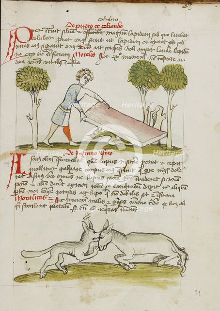 A Young Man in a Bed under which is a Snake: A Donkey..., third quarter of 15th century. Creator: Unknown.