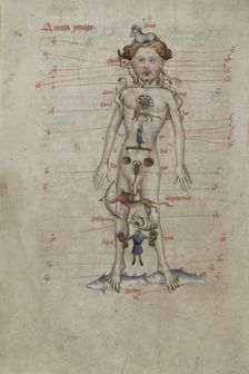 A Zodiac Man diagram showing the seasons for bloodletting. From Liber Cosmographiae, 1408